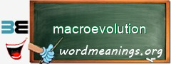 WordMeaning blackboard for macroevolution